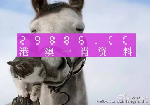 今晚必中一肖一碼四不像,決策支持方案_迅捷版32.427