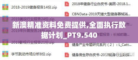 新澳準(zhǔn)資料免費(fèi)提供,完善實(shí)施計(jì)劃_限定版83.738