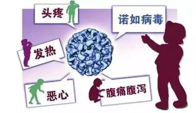 威海最新病毒，自然美景下的探索之旅挑戰(zhàn)