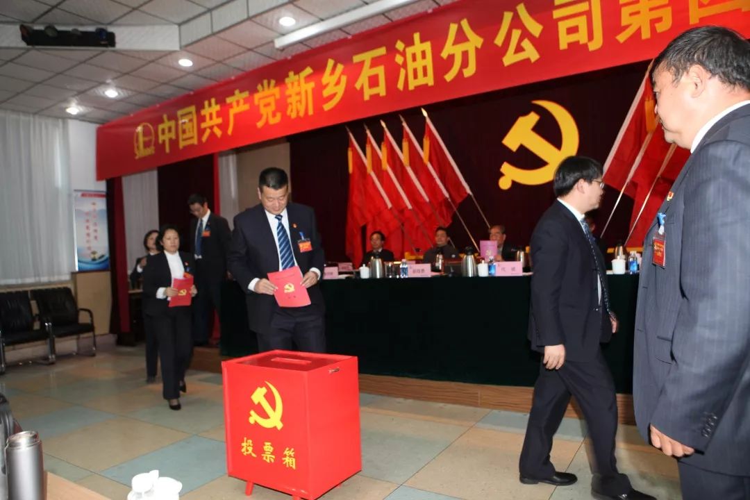 薛最新新鄉(xiāng)，小巷深處的味覺奇遇之旅