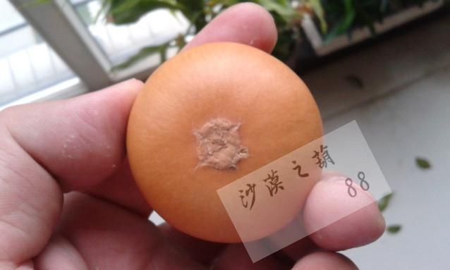 探索生活無限可能，最新版和的最新探索
