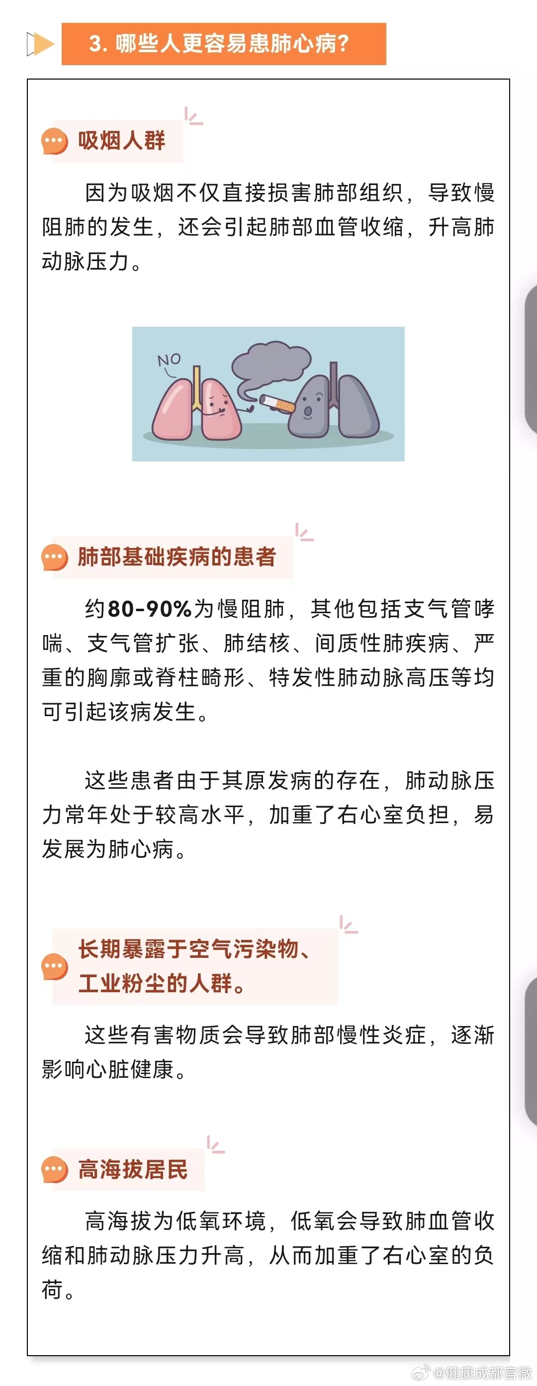 心肺最新動(dòng)態(tài)與小巷深處的獨(dú)特風(fēng)味探索