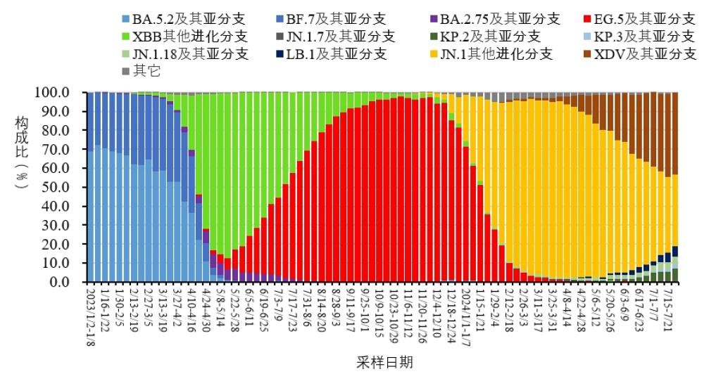 肺炎最新死亡數(shù)，自然與挑戰(zhàn)的雙重探索