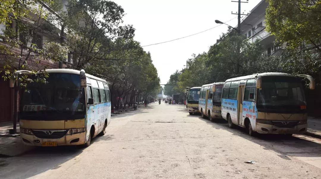 羅針最新動(dòng)態(tài)，溫馨日常中的寶藏尋覓與珍貴友情之旅