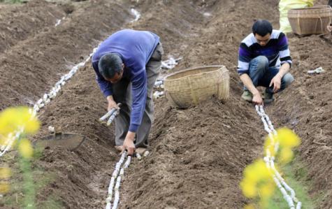 國(guó)際今日疫情最新情況概覽
