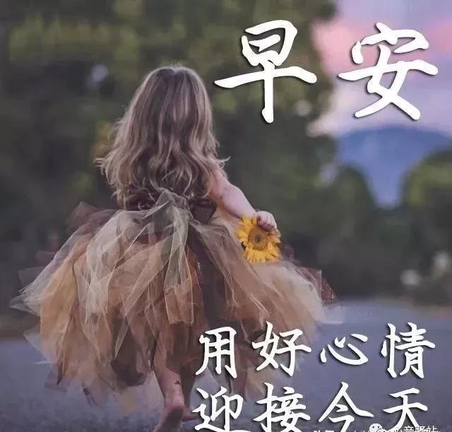 早上好最新圖片周末，視覺美學(xué)的多維度解讀與賞析