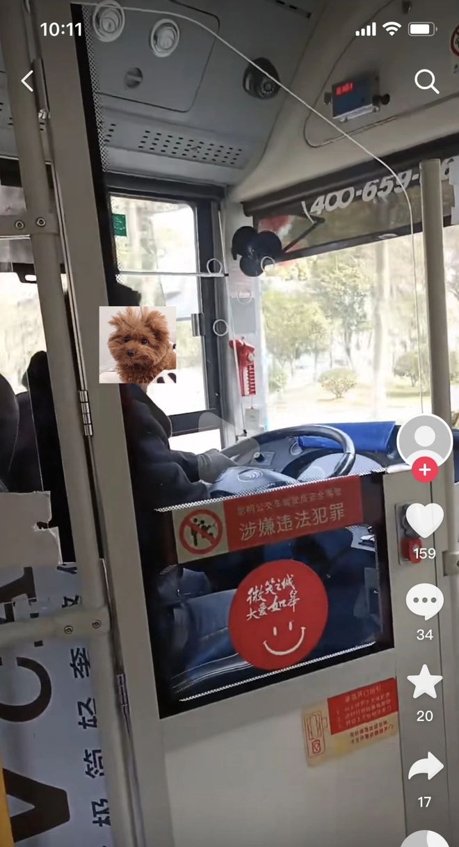 最新公交車司機(jī)視頻，展現(xiàn)城市一線風(fēng)采的窗口故事