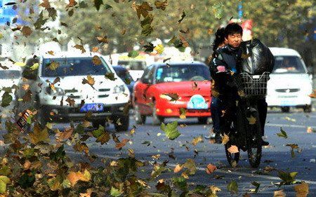 河北省最新大風(fēng)，多方觀點(diǎn)分析與個(gè)人立場(chǎng)闡述