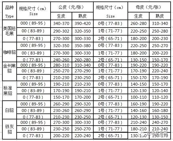水貂最新價格行情揭秘，小巷深處的珍稀寶藏大解密