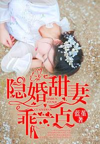 甜妻最新章節(jié)深度解析，魅力與爭(zhēng)議探討