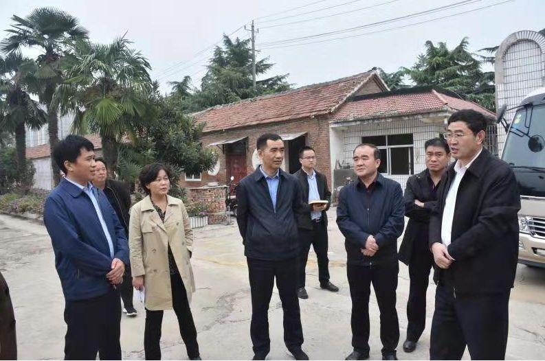 亳州渦北新城最新動態(tài)，日常趣事與情感紐帶，探尋新城魅力