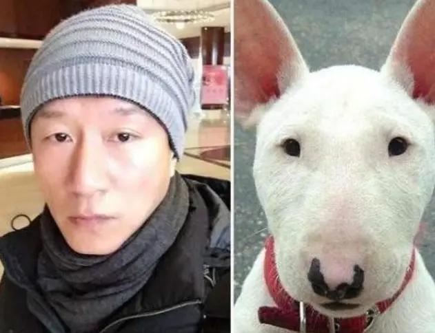 張的男明星,張的男明星，巷弄中的隱秘瑰寶