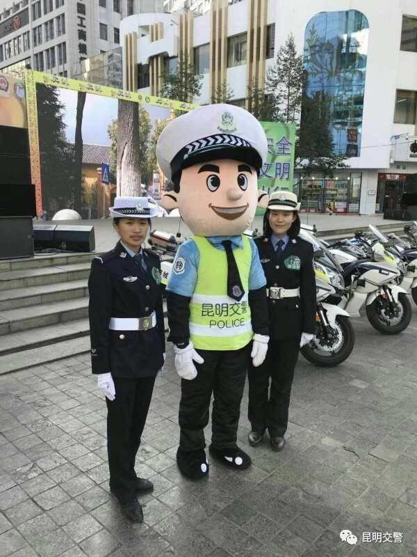笑貓日記新篇章深度解讀與個(gè)人立場探討