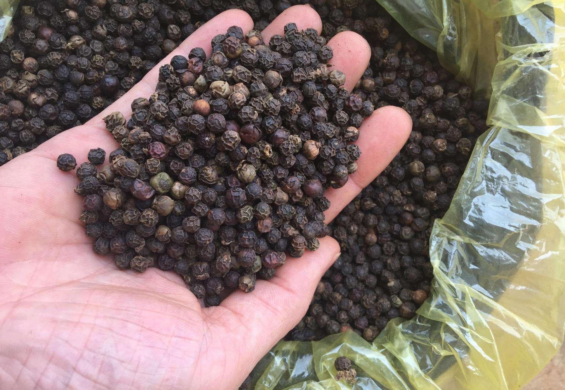 小巷深處的獨特風(fēng)味，胡椒價格揭秘
