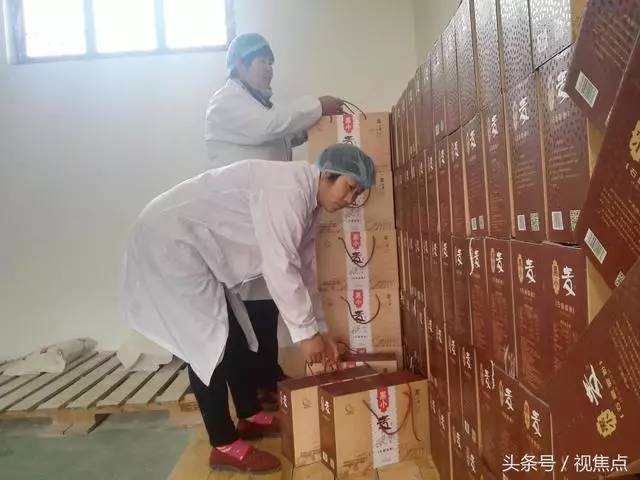 江蘇大麥價格動態(tài)，變化中的機遇與挑戰(zhàn)的超越旅程