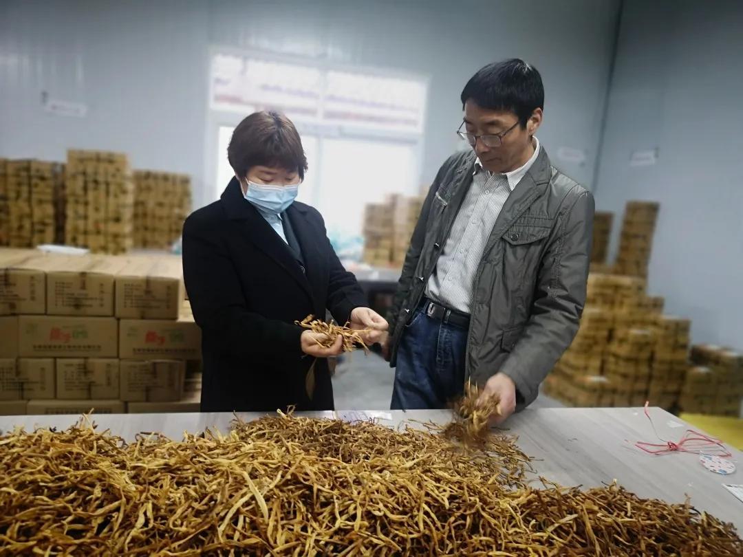 揭秘全新版考證寶，你的智能學(xué)習(xí)伙伴