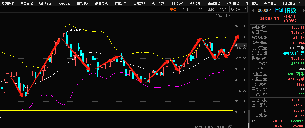 601010股票行情分析與交易策略全解析（適合初學(xué)者與進(jìn)階用戶）