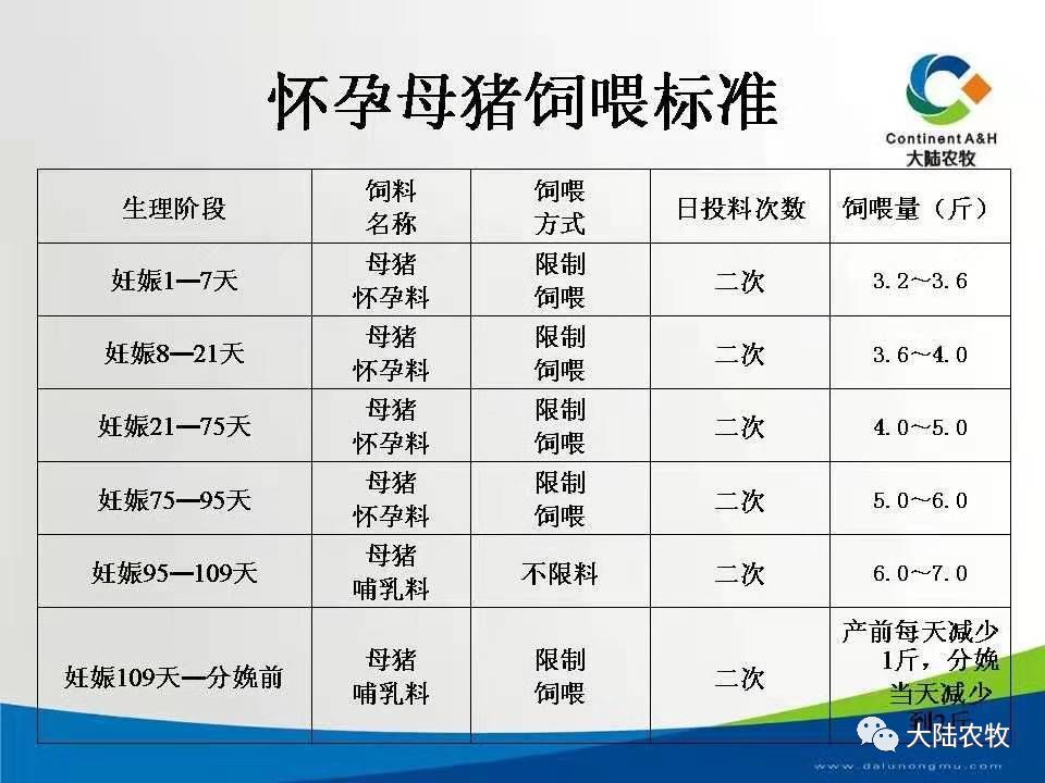 最新母豬飼料配方，探索時(shí)代背景下的影響與改良