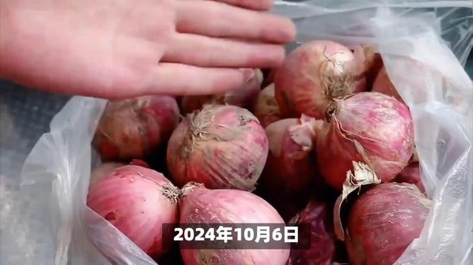 河南洋蔥最新行情解析，價(jià)格走勢獲取與分析指南