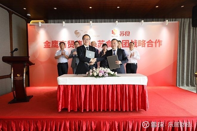 蘇金國內(nèi)上市時間解析，最新動態(tài)與預測