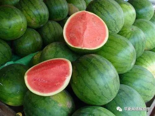 貴州西瓜最新行情揭秘，夏日甜蜜趣事與價格走勢