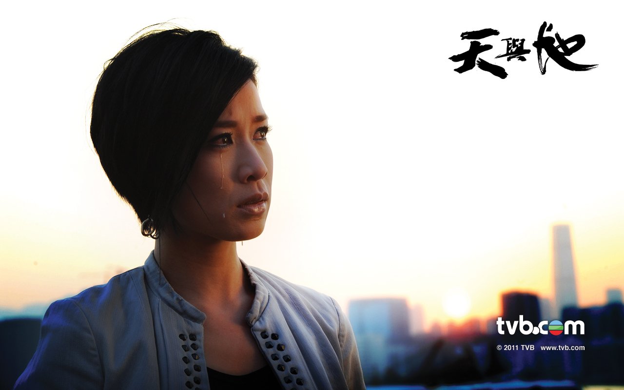 天與地深度解析角色與演技優(yōu)劣，演員表一覽