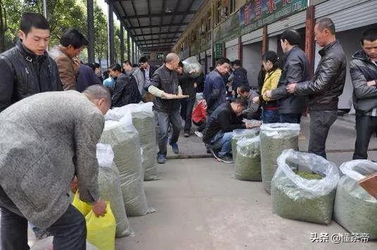 松陽疫情最新更新報(bào)告