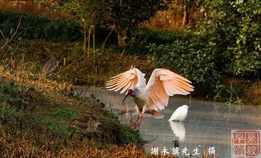 江門華爾潤，自然美景的探索之旅，尋覓內(nèi)心平和與寧靜的最新動態(tài)