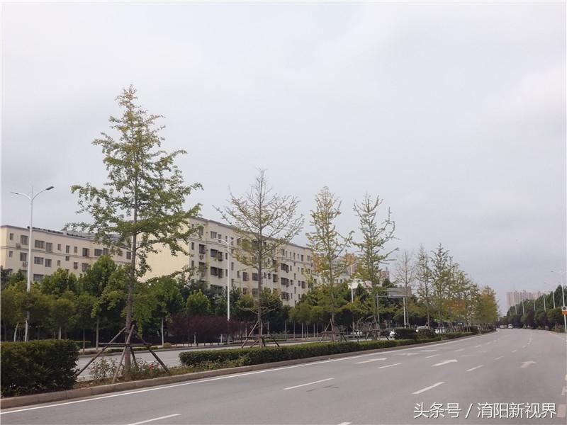 光武鎮(zhèn)最新道路規(guī)劃揭曉，打造現(xiàn)代化交通網(wǎng)絡(luò)新篇章