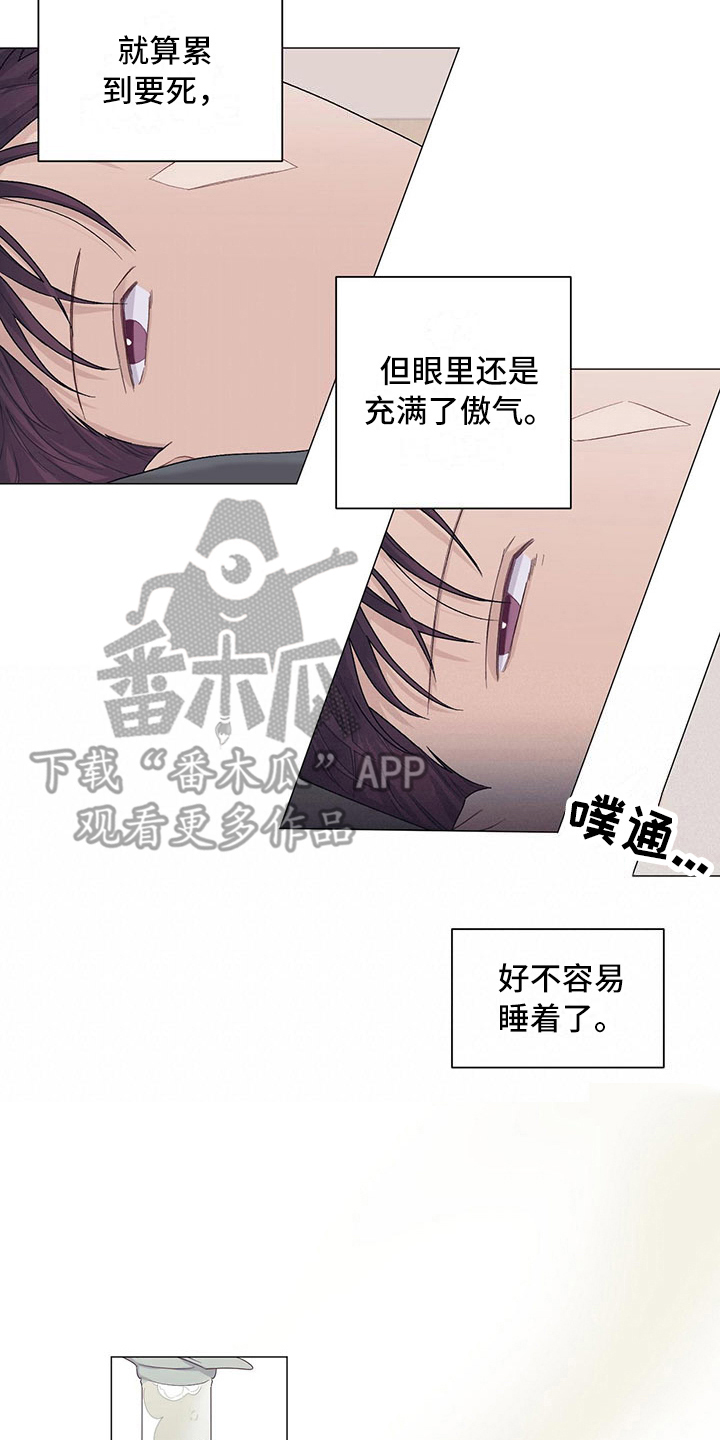 疼愛新篇章，情感深度解析