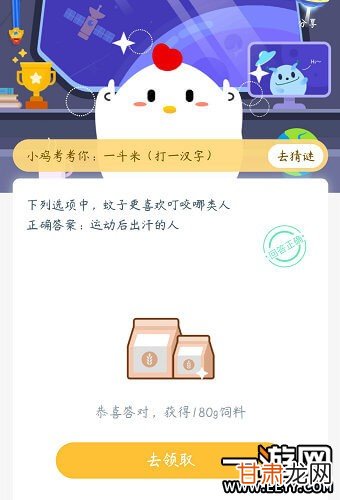 螞蟻莊園今日最新答案揭曉，愛(ài)與陪伴的溫馨小故事