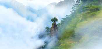 技術(shù)進(jìn)出口 第115頁