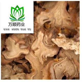 狗脊的價格，歷史背景與現(xiàn)代市場地位分析