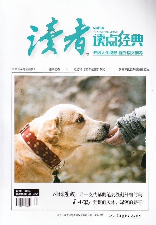 最新讀者精選在線閱讀，深度探討閱讀的魅力與意義