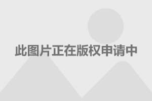 江西婺源最新資訊,江西婺源最新資訊，探索自然美景的旅行，尋找內(nèi)心的平和