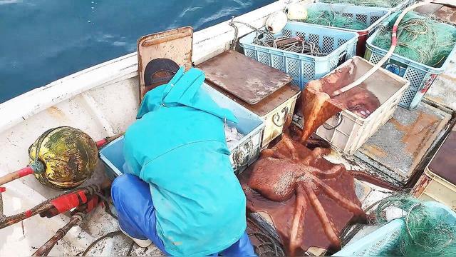 章魚捕撈新技術(shù)引領(lǐng)深海探索新紀(jì)元，揭秘引領(lǐng)潮流的捕撈技術(shù)