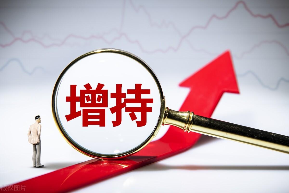 鋰電股票龍頭股深度解析與觀點(diǎn)闡述