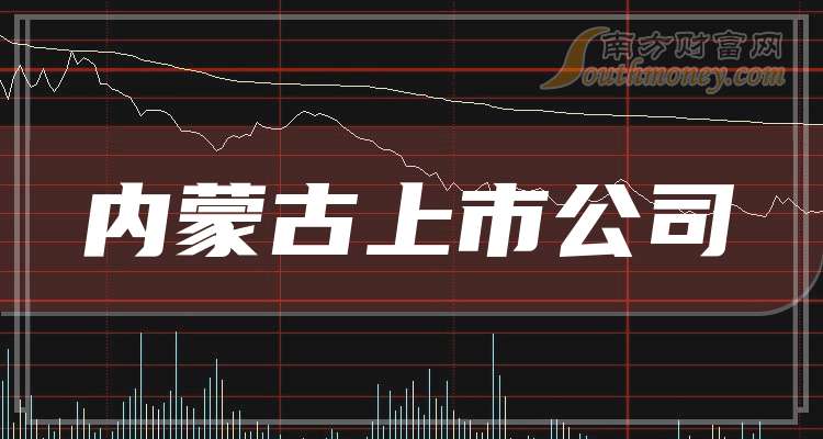 呼市上市公司,呼市上市公司，繁榮的資本市場焦點