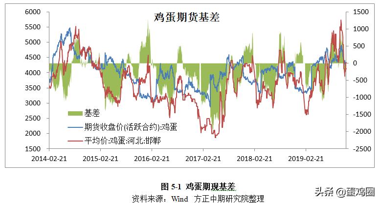 蛋雞市場行情，心靈與自然的交響之旅