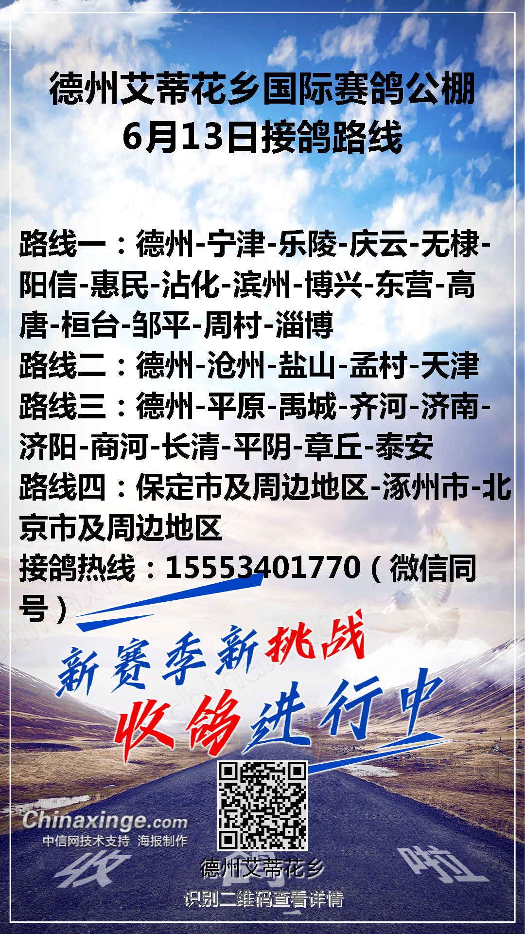 文德賽鴿公棚最新通告，賽鴿活動參與指南