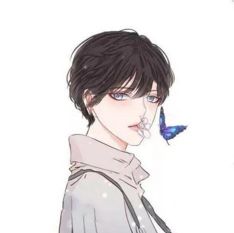 情侶頭像最新版，愛的連結(jié)與溫馨日常的日常