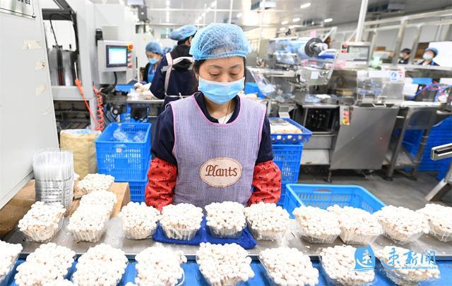 菌界新紀元，食用菌上市公司高科技產(chǎn)品重磅推出