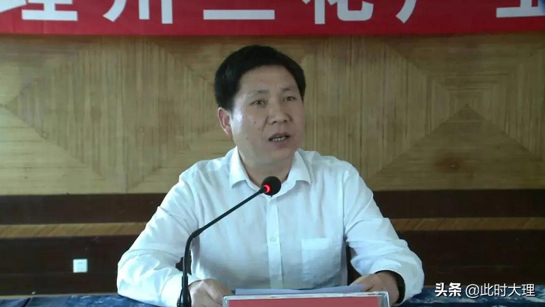 鶴慶蘭花最新行情價(jià)格，友情與陪伴的溫馨故事之旅