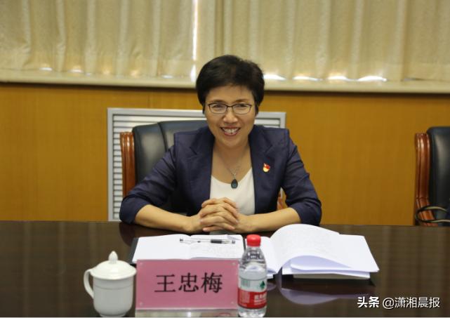 中原清風(fēng)最新資訊概覽