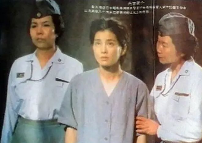 日本理論電影，自然美景的心靈之旅探索