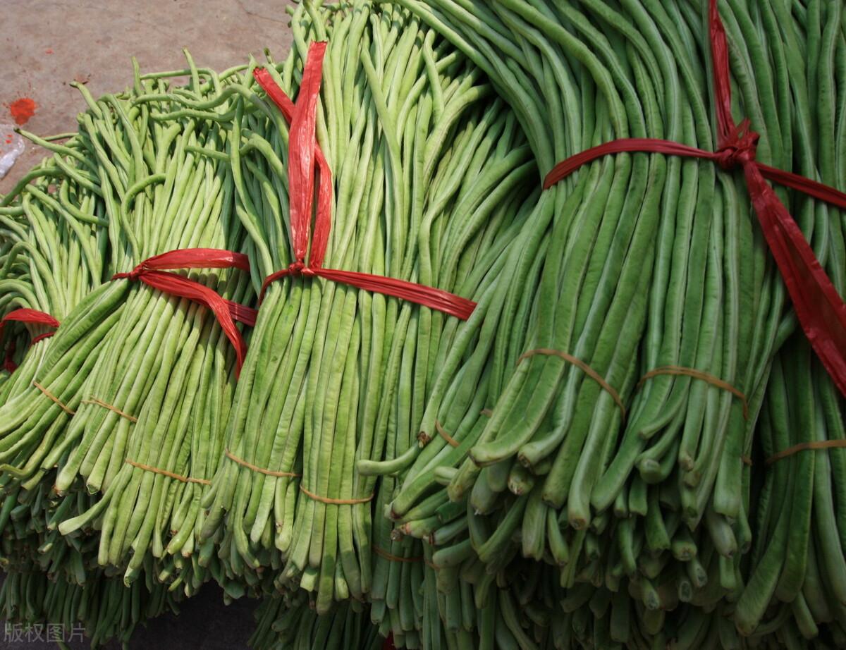香菜價(jià)格實(shí)時(shí)更新，最新動(dòng)態(tài)與走勢(shì)分析