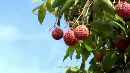 三原新鮮資訊，變化中的學(xué)習(xí)之旅，自信與成就感的源泉