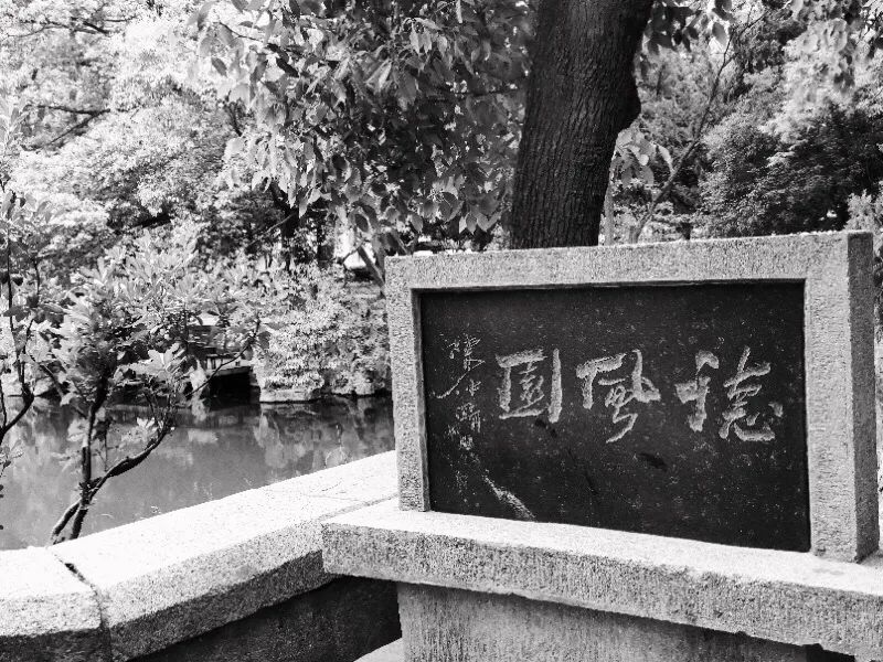 紹興隨園最新動(dòng)態(tài)，變化中的學(xué)習(xí)之旅，成就自信之源