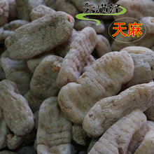 電器配件的生產(chǎn)銷售 第63頁