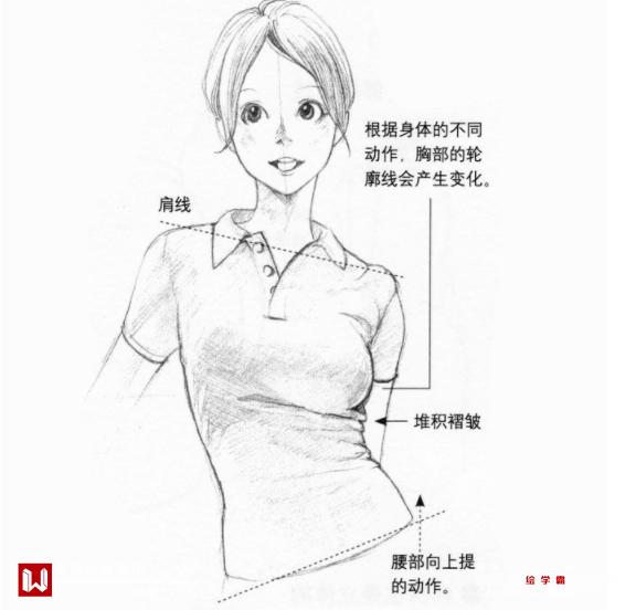 動(dòng)漫女生胸部，從藝術(shù)表現(xiàn)到現(xiàn)實(shí)科普的探討